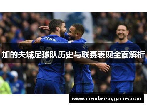 加的夫城足球队历史与联赛表现全面解析